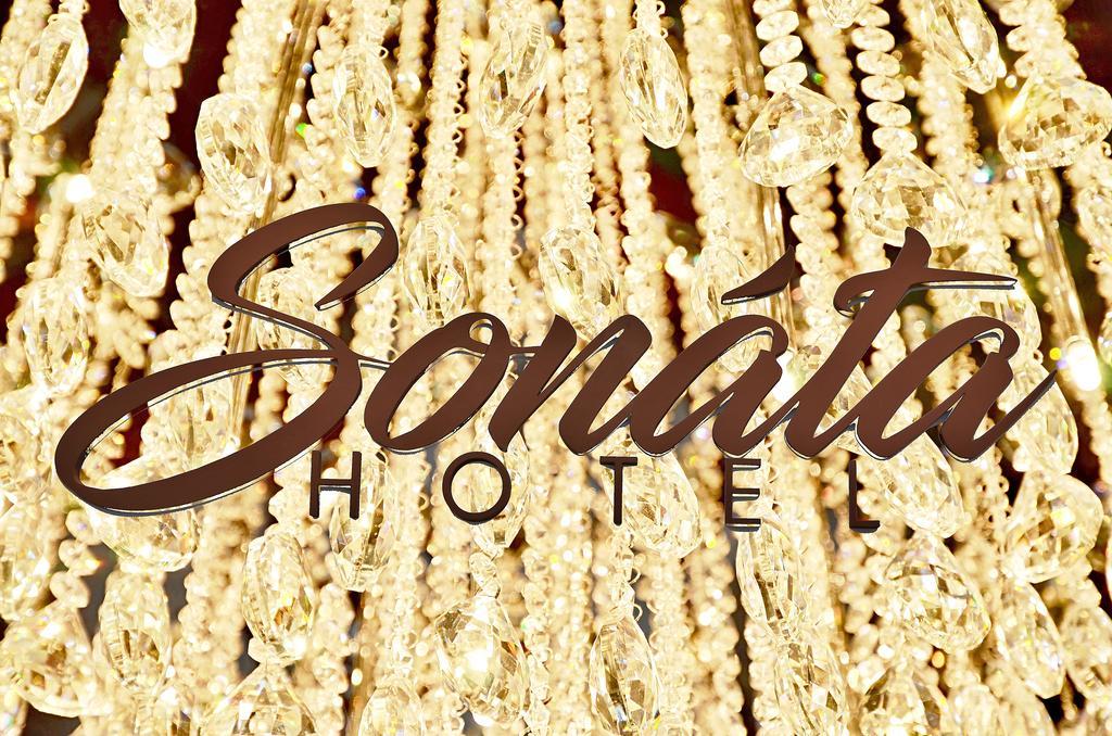 Hotel Sonata ฮราเดซ นาด โมราวิซี ภายนอก รูปภาพ